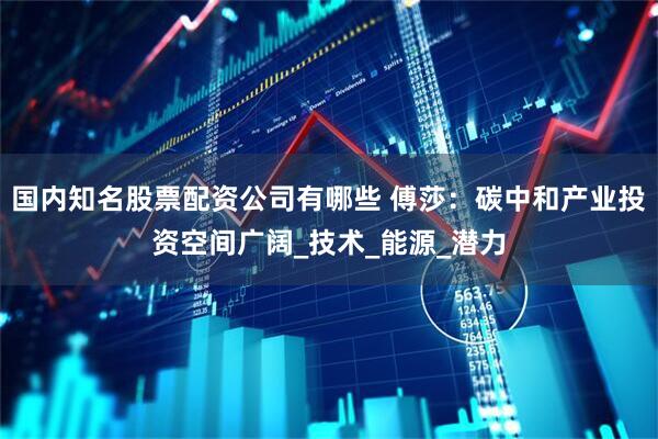 国内知名股票配资公司有哪些 傅莎：碳中和产业投资空间广阔_技术_能源_潜力